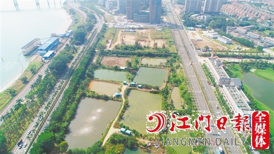 濱江大道旁地塊實景圖。