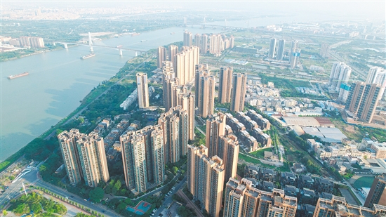 外海板塊樓盤多了起來(lái)。