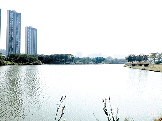 近年來(lái)，江門居住環(huán)境越來(lái)越好。