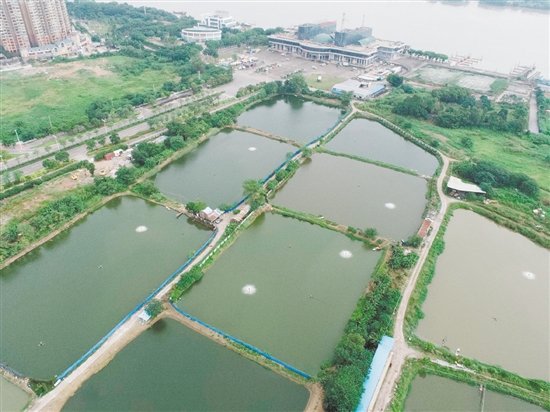臨江路與金甌路交界西南側(cè)地塊位于外海港澳碼頭西側(cè)。