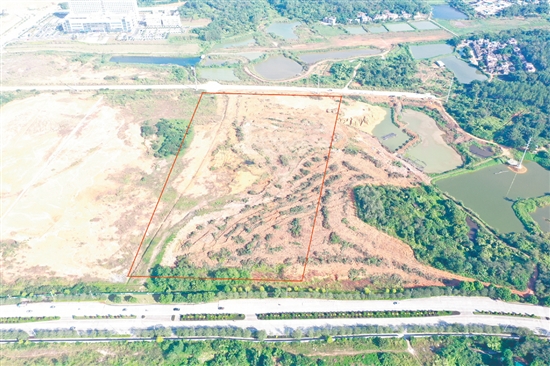 臺山市本次計(jì)劃收儲地塊涉及范圍廣。