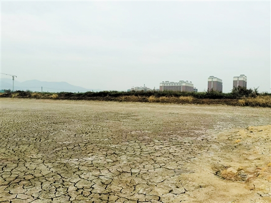 廣州華立學院拿下的地塊將為江門校區(qū)的發(fā)展提供更大空間。