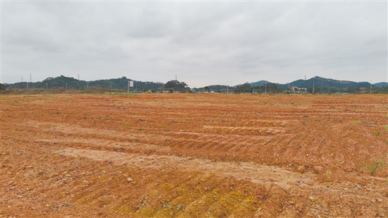 該地塊位于新會(huì)區(qū)江睦新能源雙碳產(chǎn)業(yè)園新中公路北側(cè)、勝利南路南延線西側(cè)。