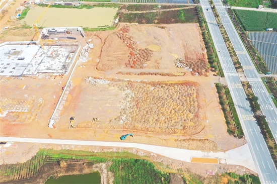 江門市JCR2025-65（開平06）號(hào)地。