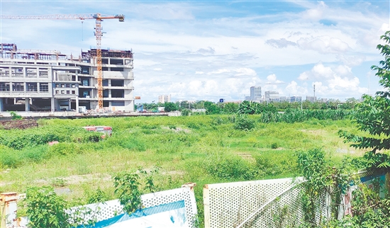 江門市JCR2025-100（新會18）號地。