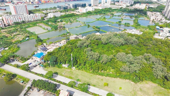 江門市JCR2025-148（蓬江22）號地。