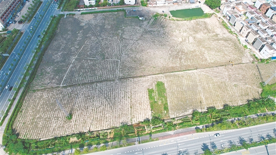 今年9月，開平市富元房地產(chǎn)開發(fā)有限公司以總價(jià)1.1億元拿下開平市長(zhǎng)沙街道樓岡大道24號(hào)地塊。