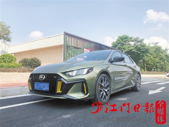 影豹的外觀運(yùn)動(dòng)感十足。