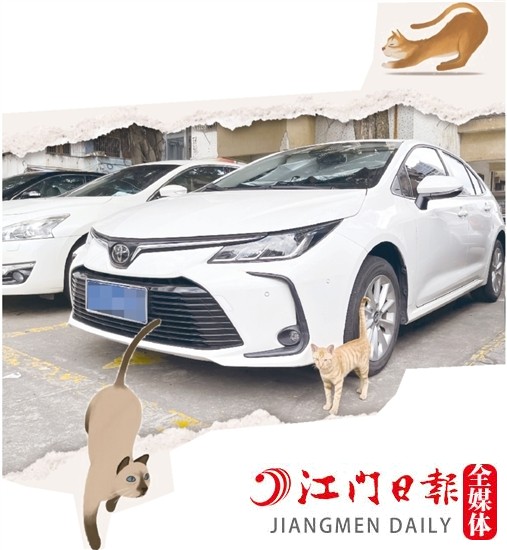 車主停車時，盡量減少停在流浪貓出沒的地方。